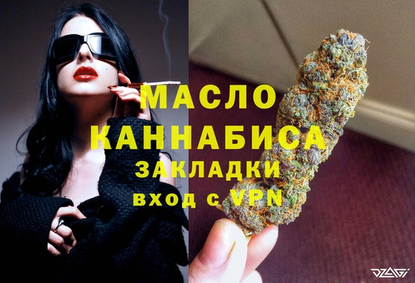 молекула духа Михайлов