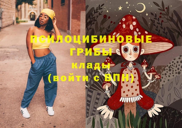 СК Михайловск