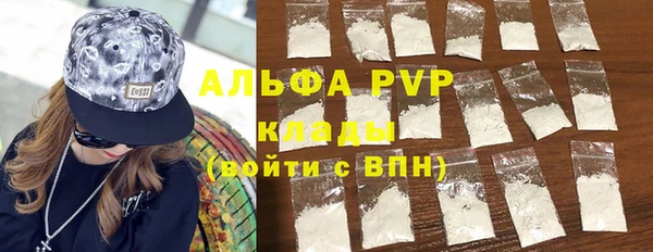 молекула духа Михайлов
