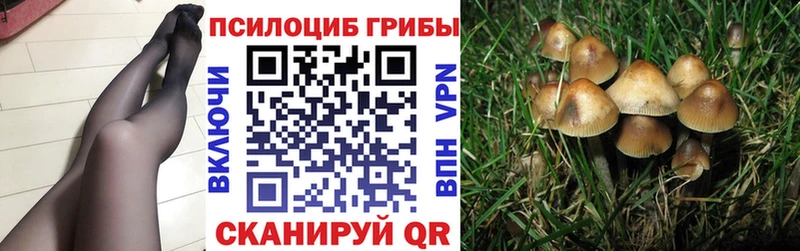 Галлюциногенные грибы мухоморы  Пятигорск 