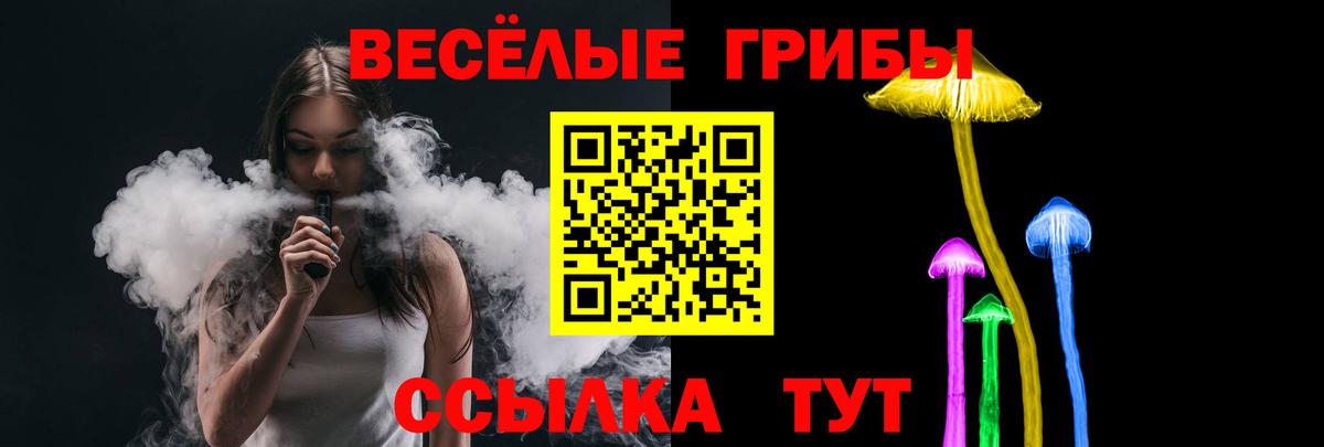 Псилоцибиновые грибы MAGIC MUSHROOMS  Вход с VPN  Пятигорск 